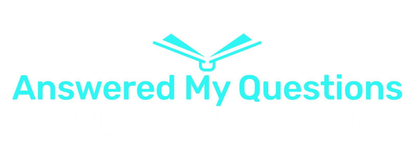 Answered My Questions Logo