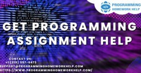 Programming Homework Help